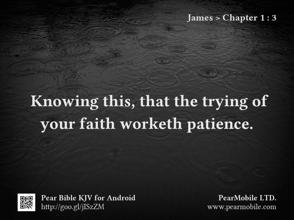 James, Chapter 1:3